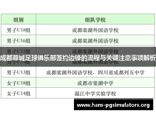成都蓉城足球俱乐部签约边锋的流程与关键注意事项解析